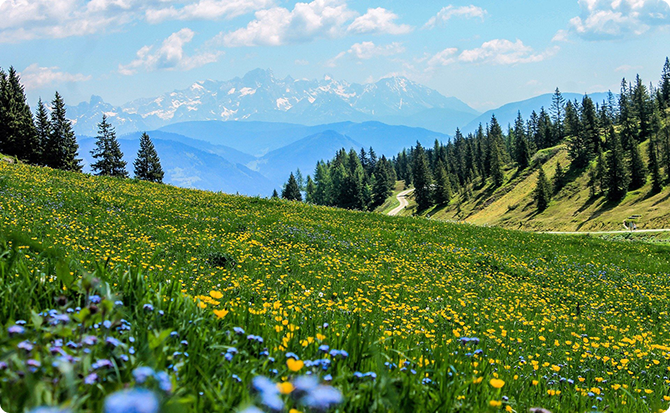 H2O voda planina